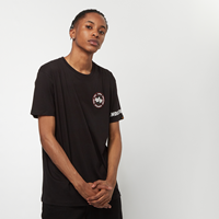 Alpha Industries T-Shirt Back Stripe T-Shirts schwarz Herren 