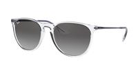 Ray-Ban Zonnebrillen RB4171 Erika 651611