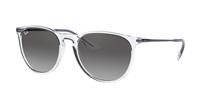 Ray-Ban Sonnenbrillen RB4171 Erika 651611