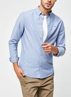 tommyjeans Tommy Jeans - Slim-fit Oxford overhemd in marineblauw