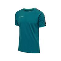 Hummel hmlAUTHENTIC TRAINING TEE T-Shirts blau Herren 