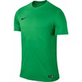 Nike Park VI Jersey Groen