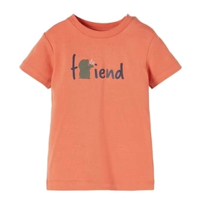 NAME IT Print T-shirt Heren Oranje