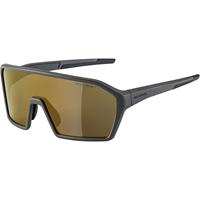 Alpina Sportbrille RAM HM+ Sonnenbrillen grau Damen 