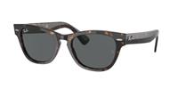 Ray-Ban Sonnenbrillen RB2201 Laramie 902/B1