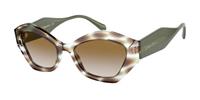 Giorgio Armani Vrouwen Zonnebril 51/22/145 mm Acetaat