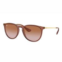 Ray-Ban Ronde Dames Transparant Lichtbruin Bruin Gradiënt RB4171 Erika