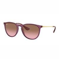 Ray-Ban Sonnenbrillen RB4171 Erika 659114