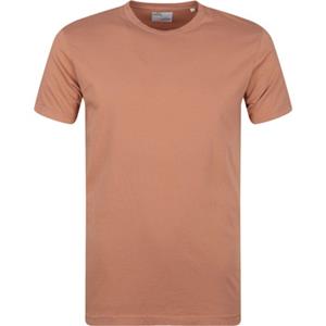 Colorful Standard Organisch T-shirt Bruin