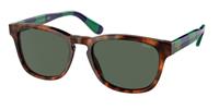 Polo Ralph Lauren Sonnenbrillen PH4170 501771