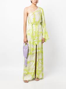 Alexis Maxi-jurk met abstracte print - Groen