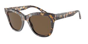 Giorgio Armani Zonnebrillen AR8165 592473