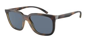 Arnette Zonnebrillen AN4306 Plaka Polarized 27702V