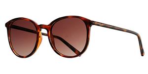Damensonnenbrille Pepe Jeans Pj7373 52c2