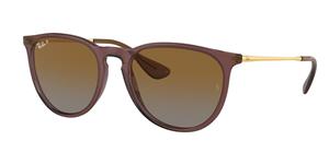 Ray-Ban Zonnebrillen RB4171 Erika Polarized 6593T5