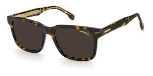 CARRERA 251/S Mannen Zonnebril, havana