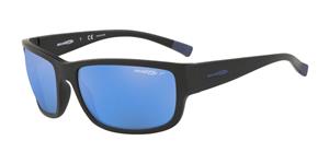 Arnette Zonnebrillen AN4256 Bushwick Polarized 01/22