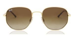 Ray Ban RB3682 001/13 51 arista / gradient brown