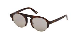 Herrensonnenbrille Web Eyewear We0224
