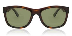 Serengeti Zonnebrillen Chandler Polarized SS557001