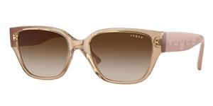 Zonnebril Vogue Occhiali da Sole Eyewear VO5459SB 282613