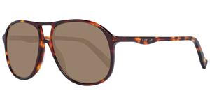 Herrensonnenbrille Replay Ry217 56s02