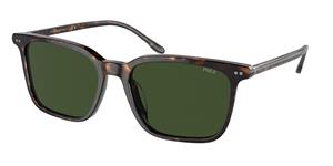 POLO RALPH LAUREN PH4194U | Herren-Sonnenbrille | Eckig | Fassung: Kunststoff Havanna | Glasfarbe: Grün
