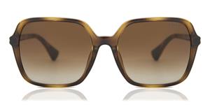 Ralph RA5291U 500313 56 shiny dark havana / gradient brown