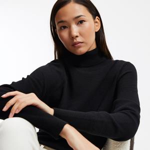 LA REDOUTE COLLECTIONS Trui met rolkraag in fijn tricot, kasjmier