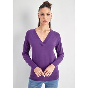 HECHTER PARIS Strickpullover, mit V-Ausschnitt - NEUE KOLLEKTION