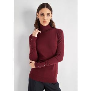 HECHTER PARIS Strickpullover mit Rollkragen