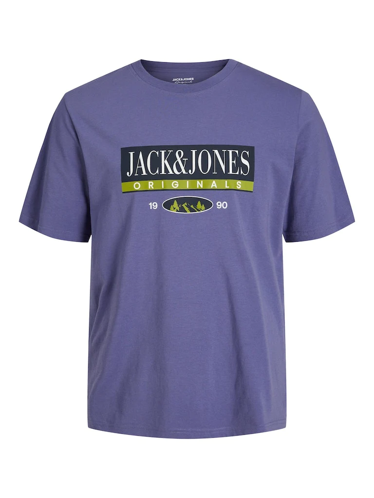 Jack & Jones Jorwalter tee