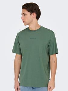 ONLY & SONS Rundhalsshirt "ONSLEVI LIFE REG TEXT SS TEE NOOS"