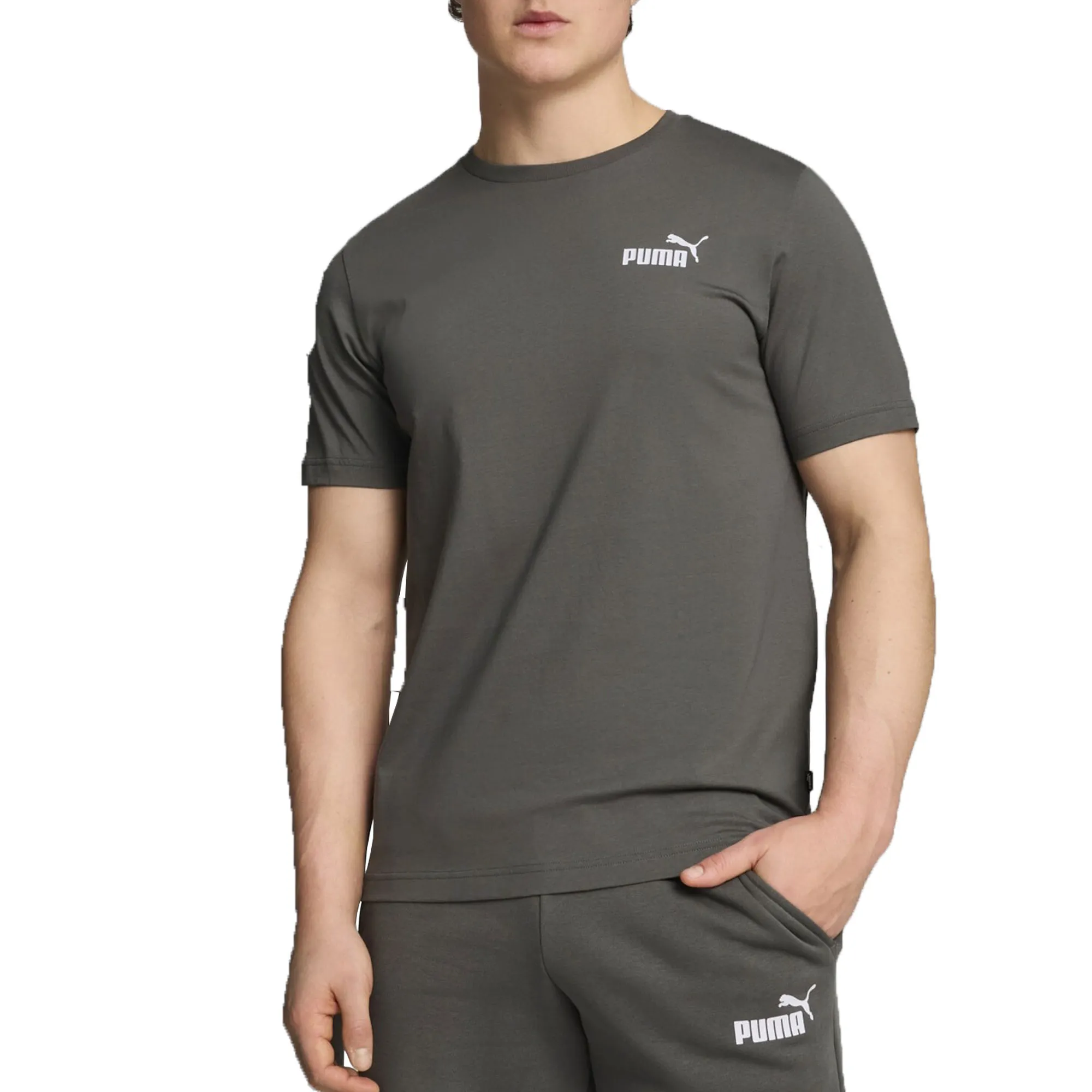 PUMA T-shirt ESS SMALL LOGO TEE (S)