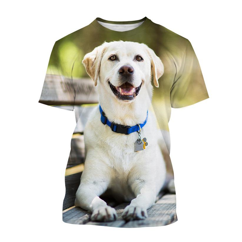 Baibao QIQI Nieuwe mannen Grappige Casual Hond 3D Korte mouwen T-shirt Harajuku Stijl Huisdier Print Top Leuke Dier labrador Retriever T-shirt