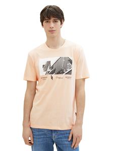 TOM TAILOR Denim T-Shirt striped photoprint t-shirt