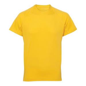 TriDri Tri Dri heren T-shirt met korte mouwen en panelen