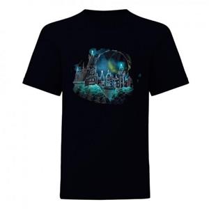 Harry Potter Heren Zweinstein Wireframe T-Shirt