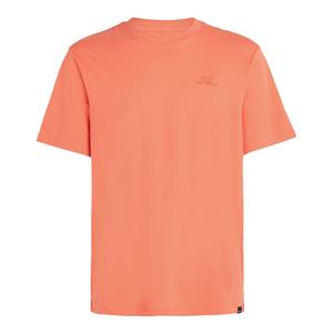 O'Neill T-shirt