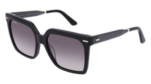 CALVIN KLEIN CK22534S Vrouwen Zonnebril, zwart