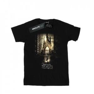 Pertemba FR - Apparel Fantastic Beasts Heren filmposter T-shirt