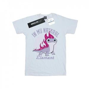 Disney Frozen 2 Salamander Bruni Element T-shirt voor heren
