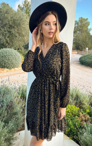 Jurkjes Leopard Jurk V-Hals Nova Gold