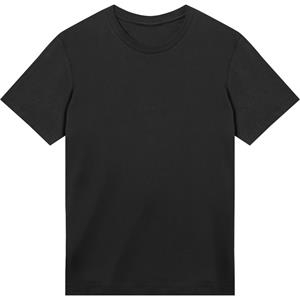 True Blanks Heren normaal t-shirt