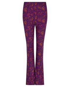 Lofty Manner Broek pl37.1 sol