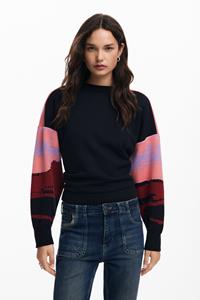 Desigual Zonsondergang landschap sweatshirt - BLACK