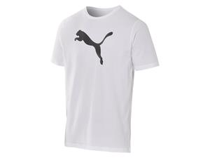 Puma teamRISE Logo Heren T-shirt 658705-04