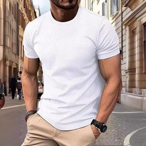 HerSight Mesh Ice Silk T-shirt met korte mouwen voor heren Ronde hals Zomer Effen kleur Nylon Glad materiaal T-shirts S zwart