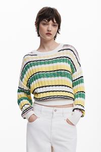 Desigual Gestreepte trui in kleuren - MATERIAL FINISHES