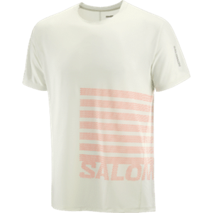 Salomon Heren Sense Aero GFX T-shirt